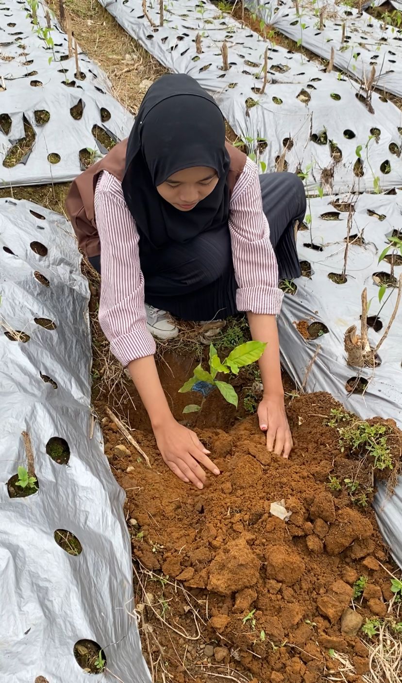 Gambar Berita